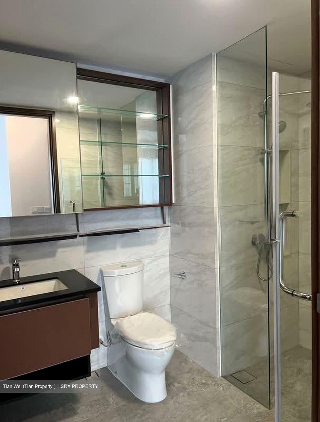 Normanton Park (D5), Apartment #534119091